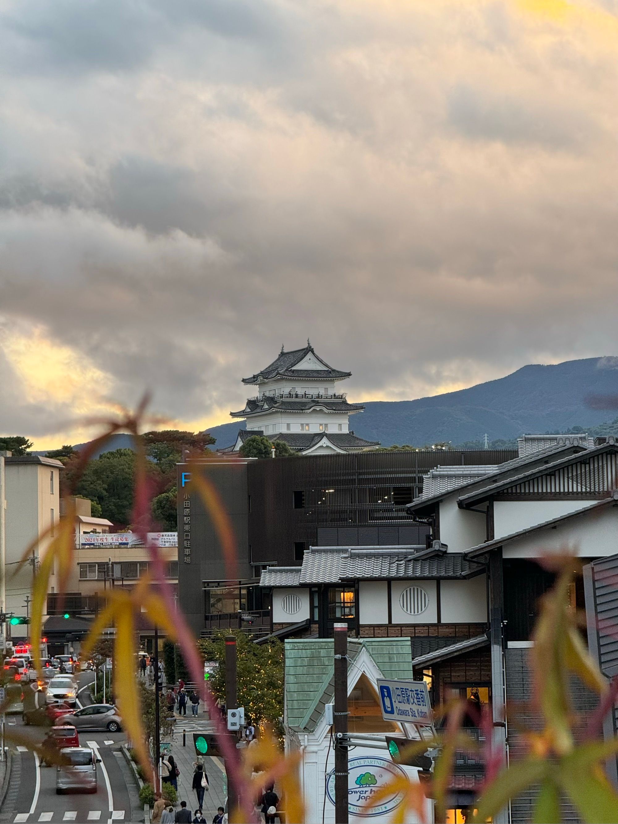 Photo du château d'Odawara