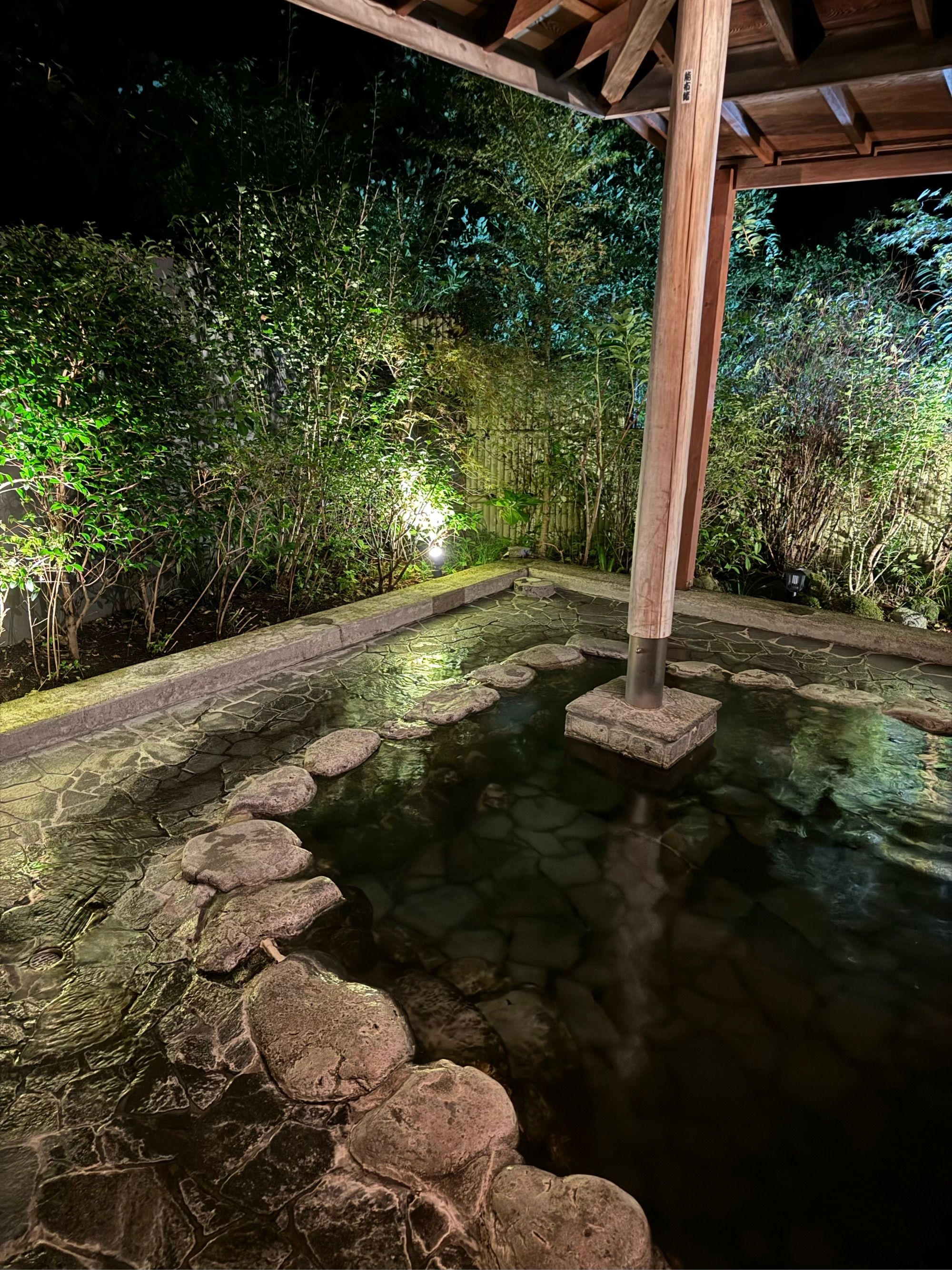 Onsen en plein air de l'hôtel (Il y avait déjà 2 hommes dedans au moment de la photo)