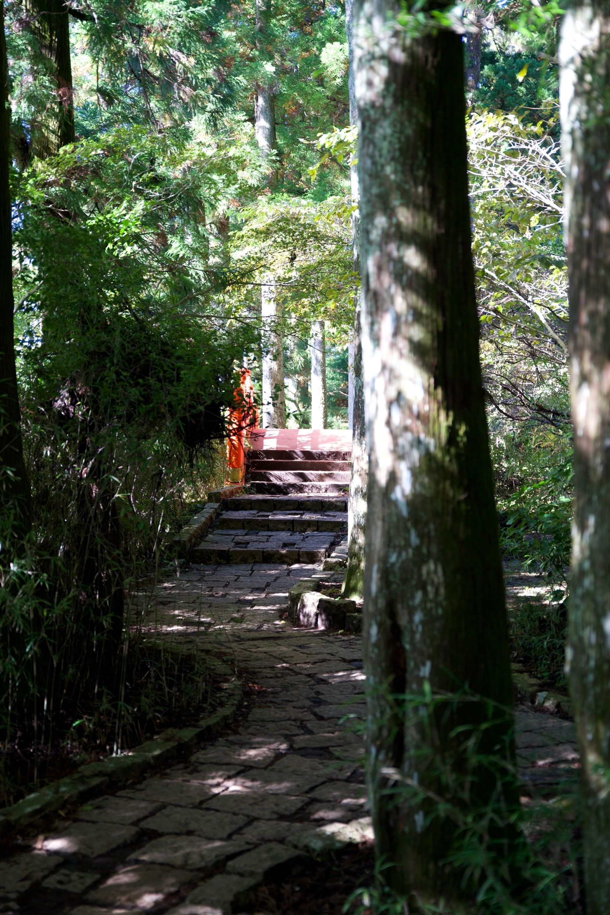 Balade jusqu'au sanctuaire d'Hakone