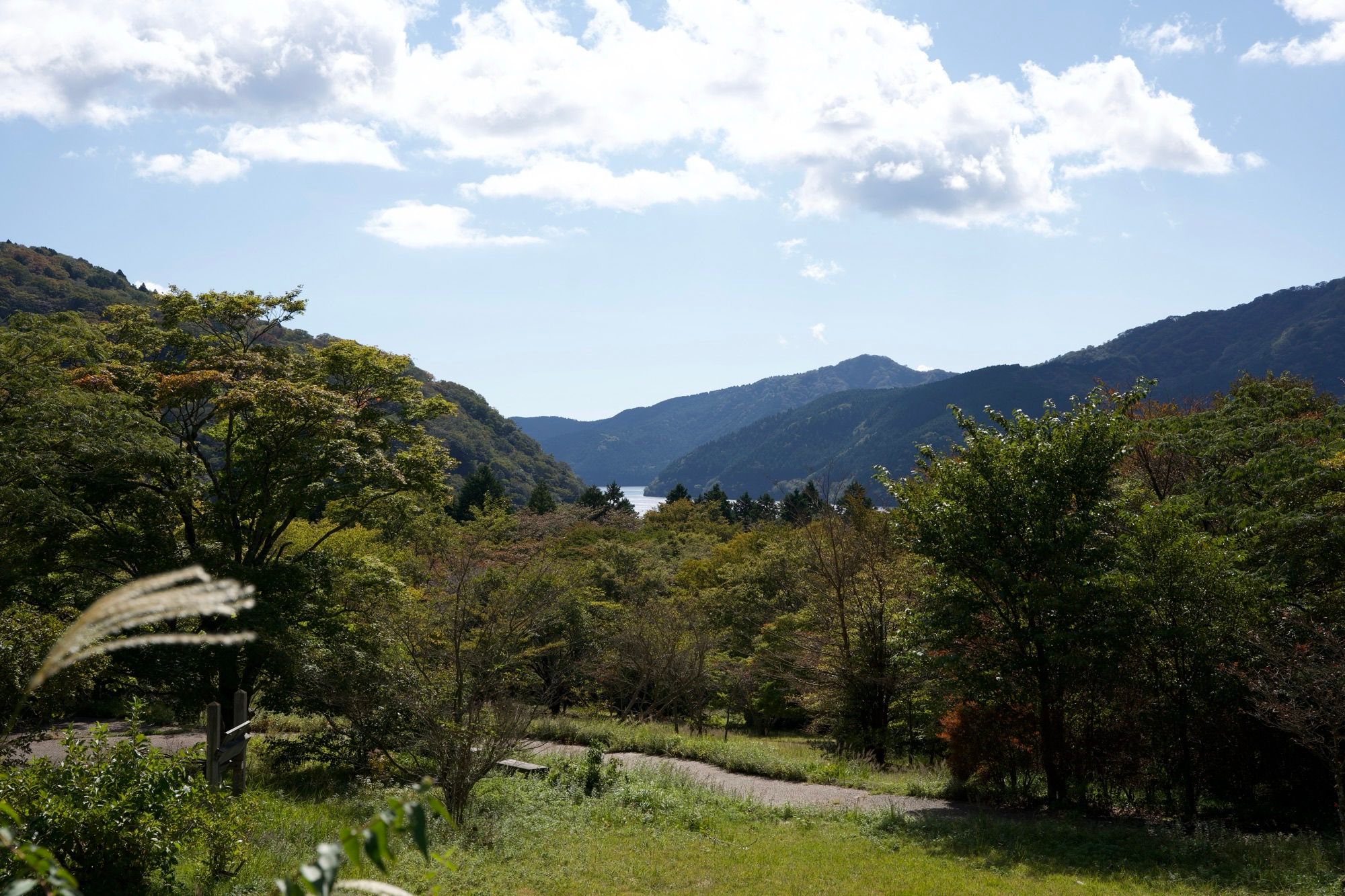 Vue sur le lac Ashinoko