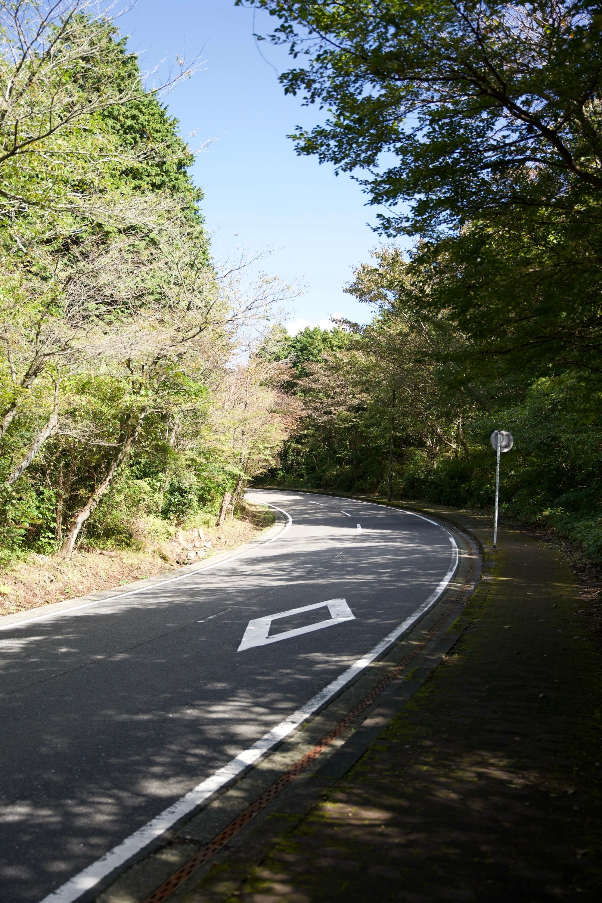 Au début je croyais que ce serait rapide la route