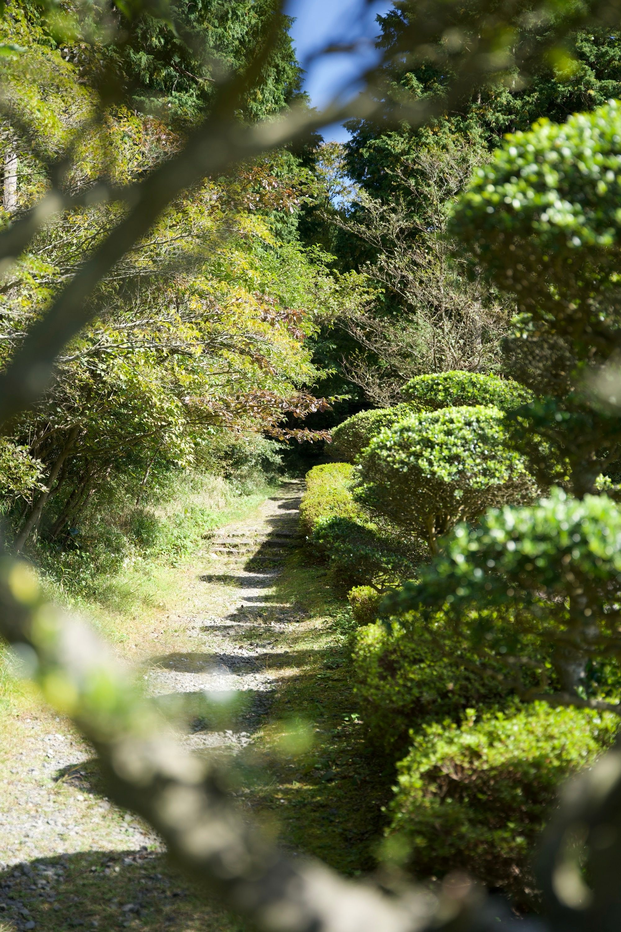 Chemin vers Owakudani