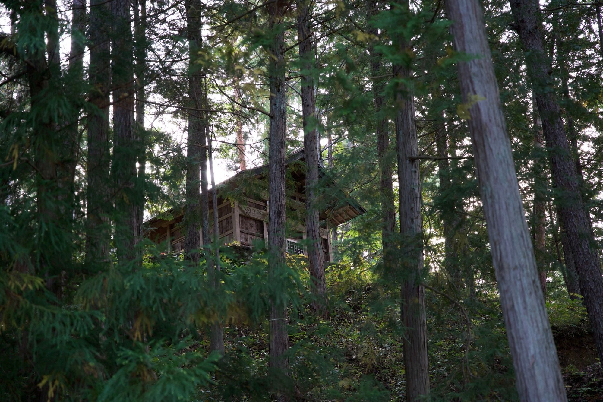 Sanctuaire au milieu de la forêt