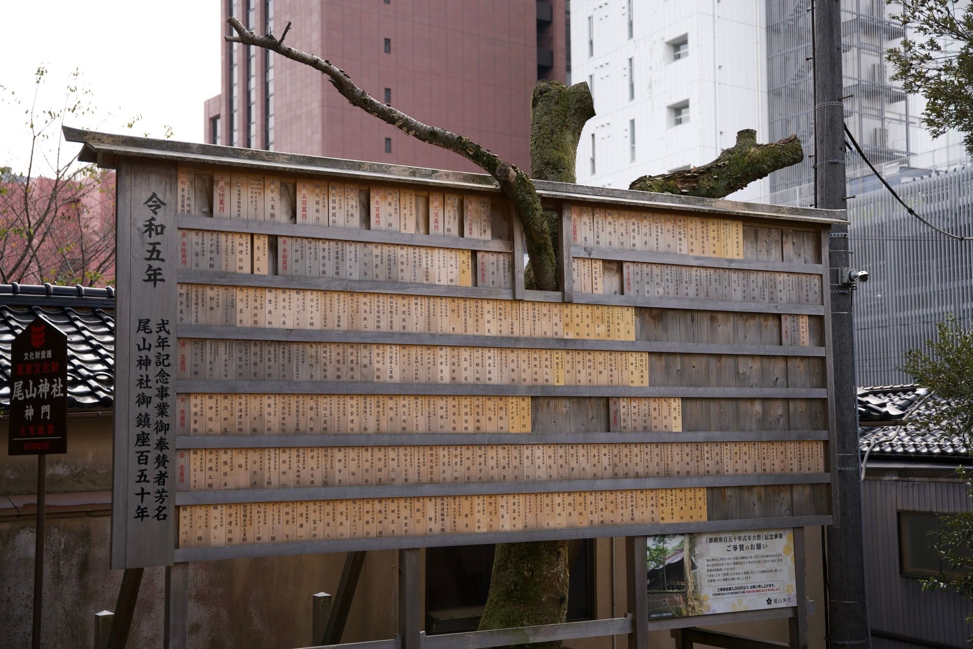 Touche Pas À Mon Arbre