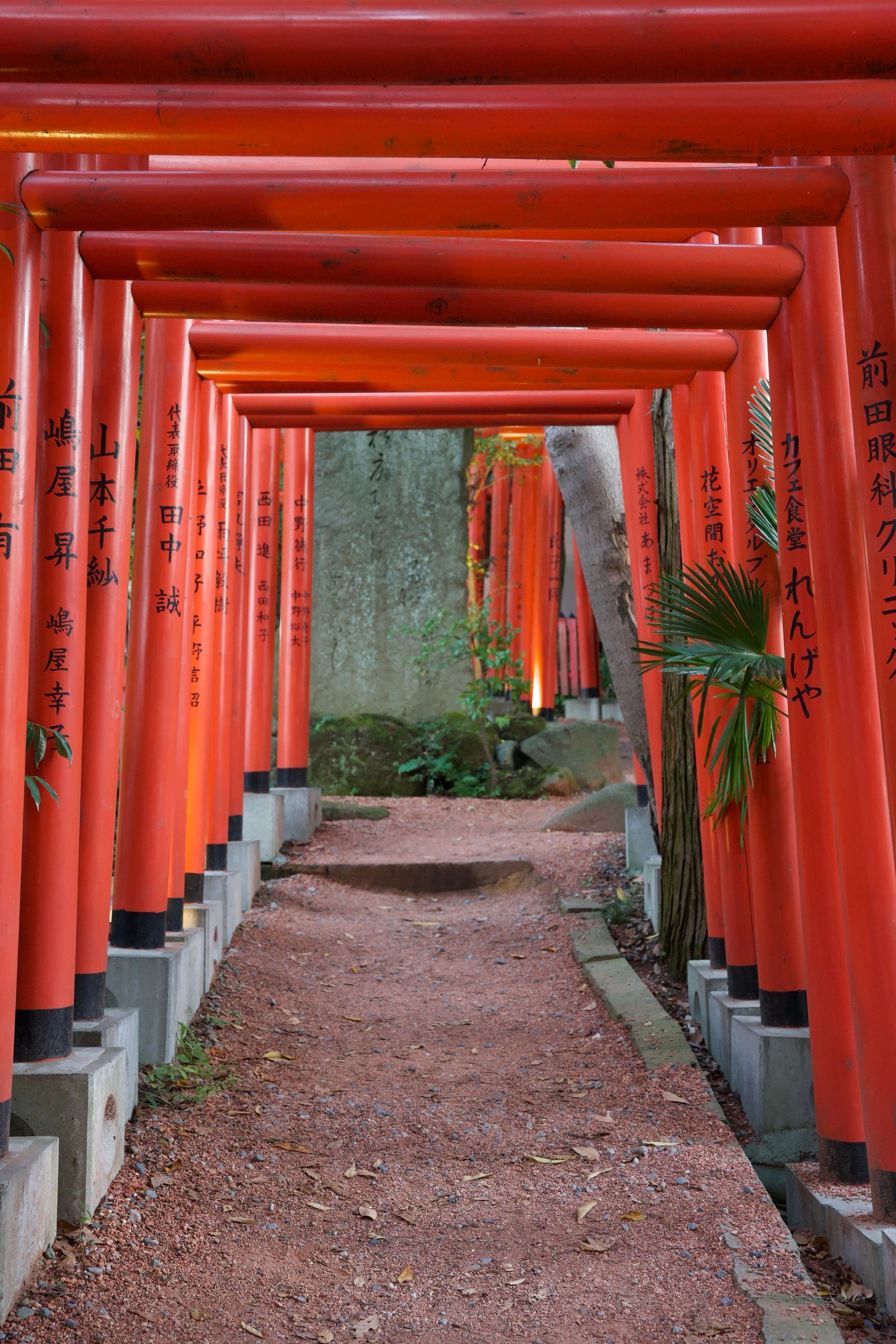 Couloir de torii