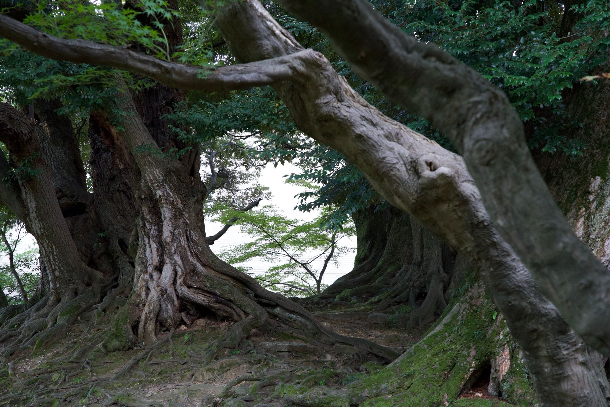 Passage vers un autre monde