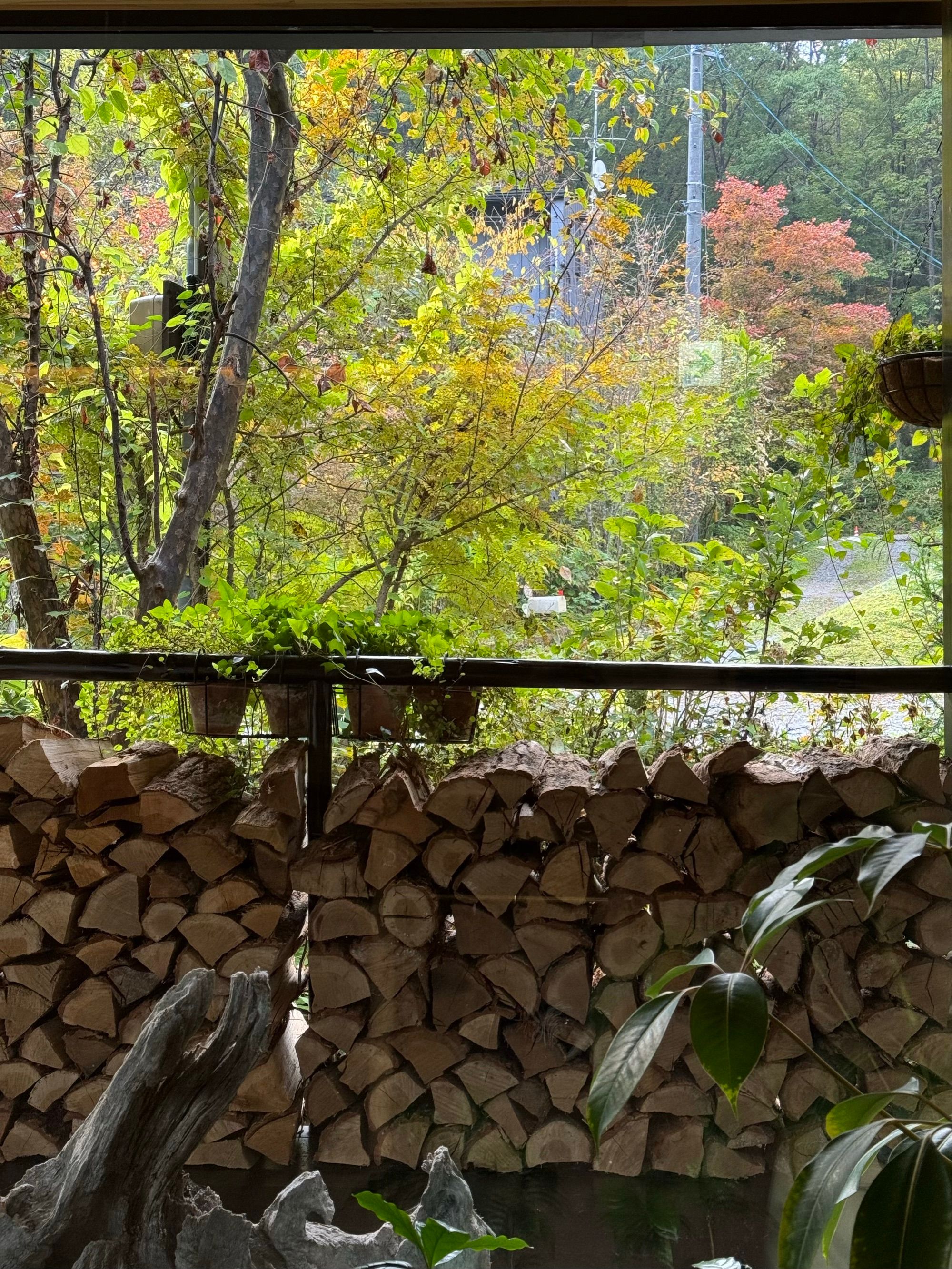 La vue du petit déjeuner