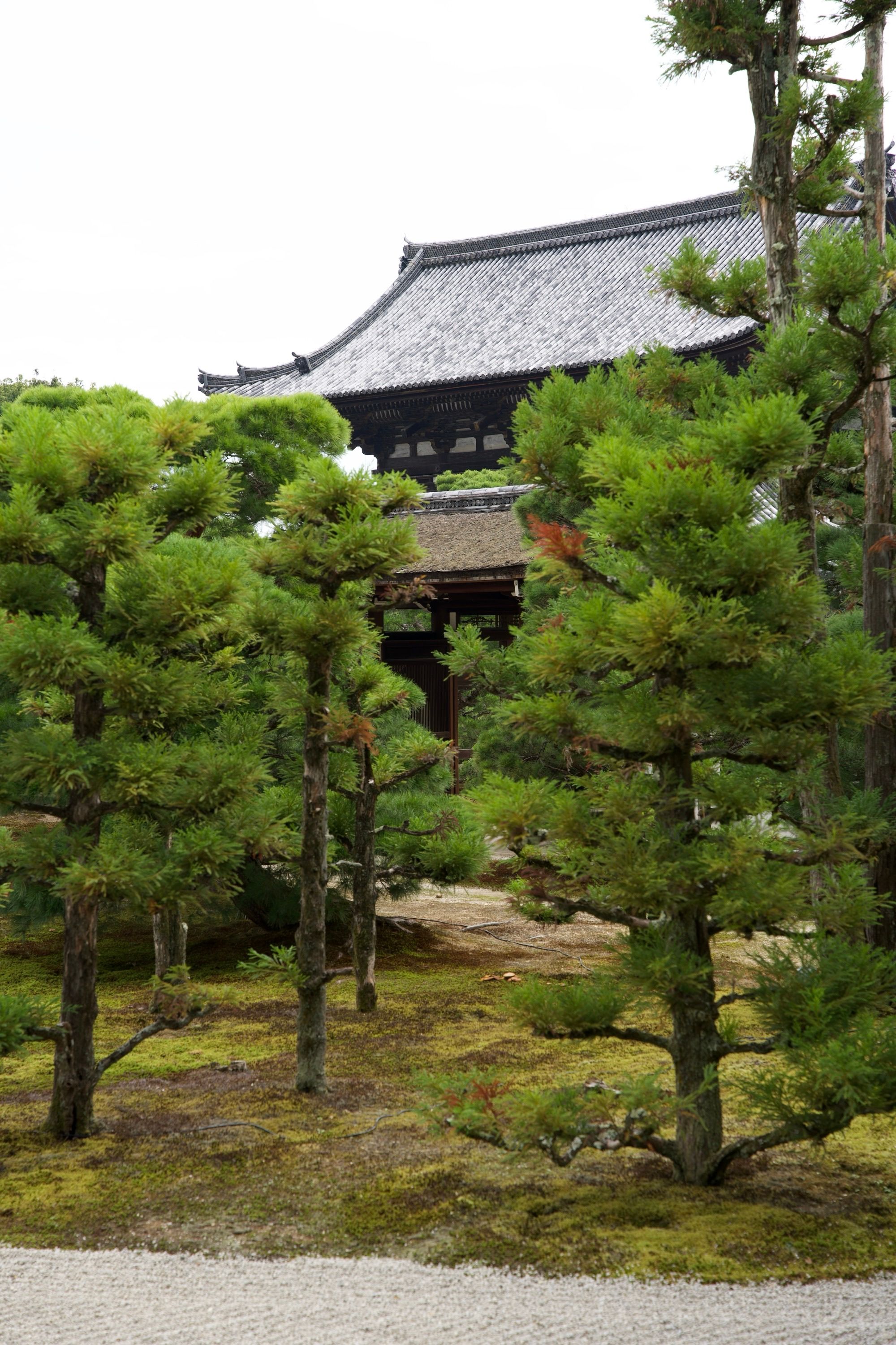 Un bâtiment depuis un des jardins