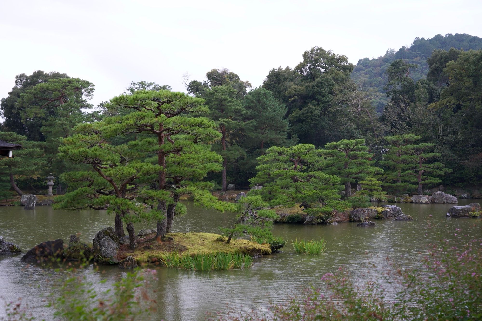 Jardin du Kinkaku-ji