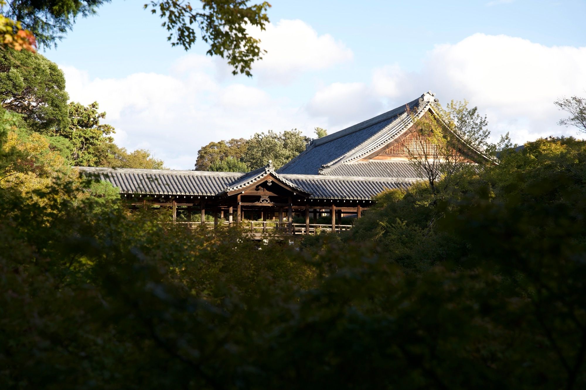 Toguku-ji vu de loin