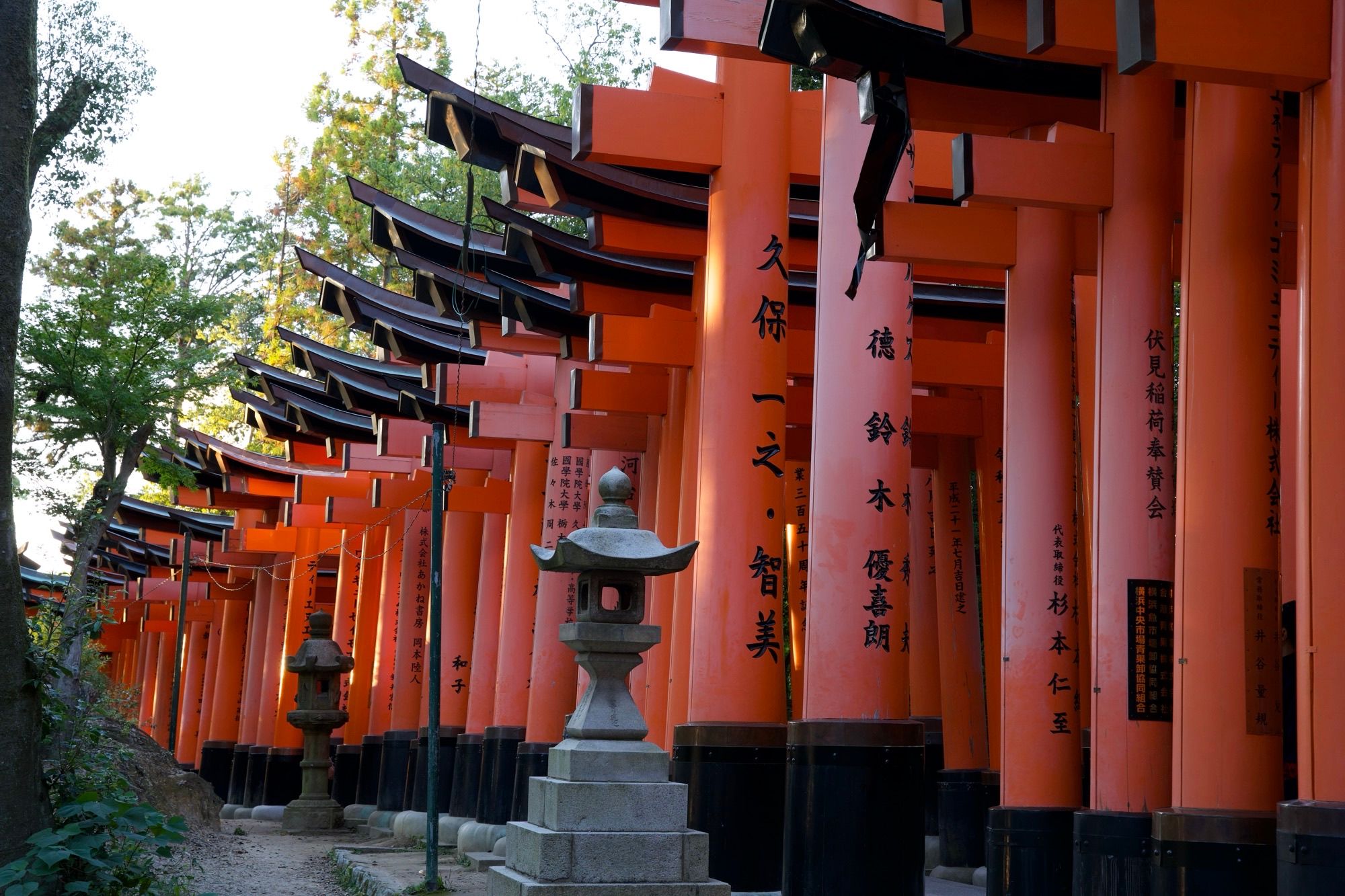 Une petite partie du chemin de torii