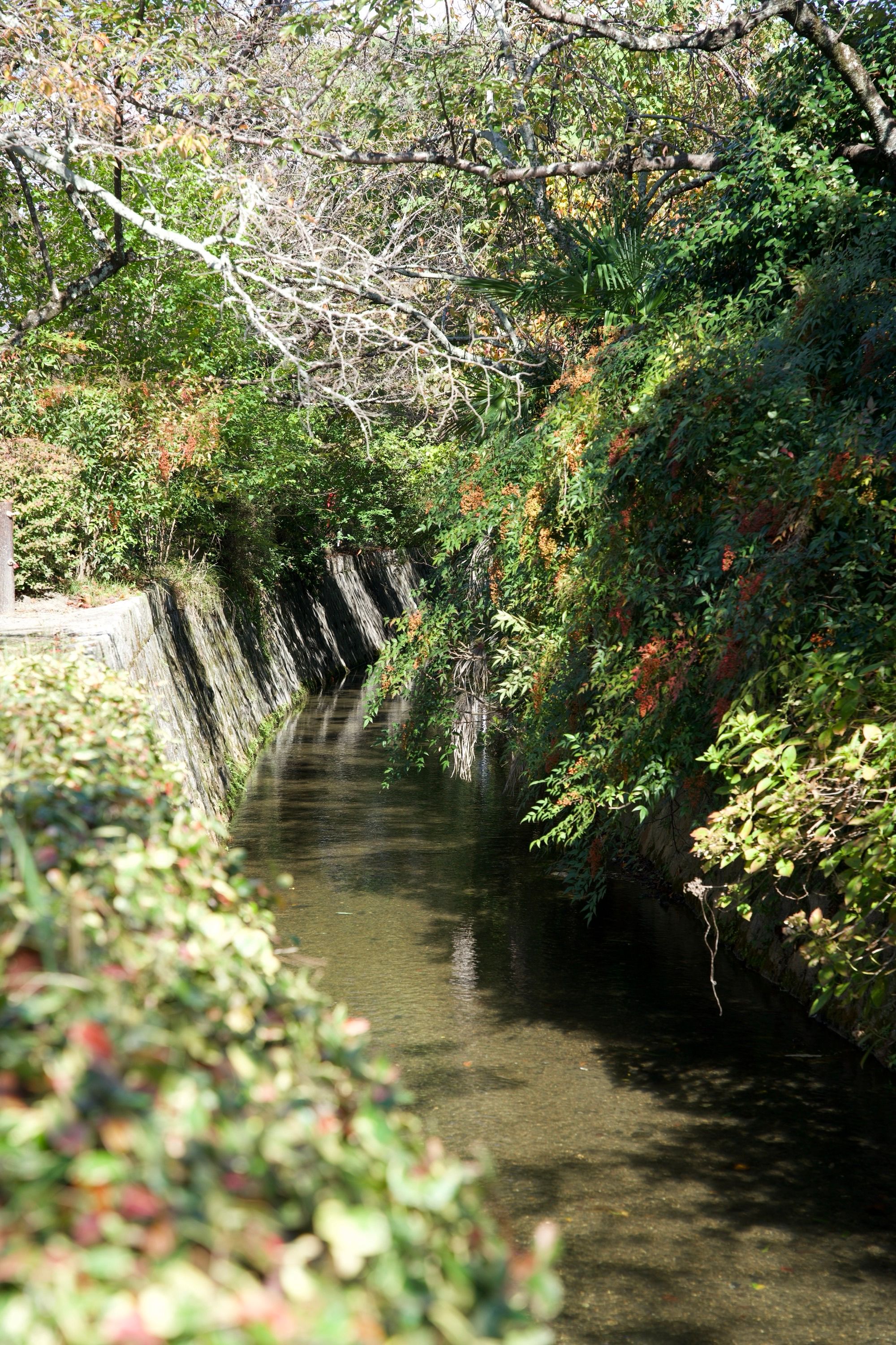 Canal du chemin des philosophes