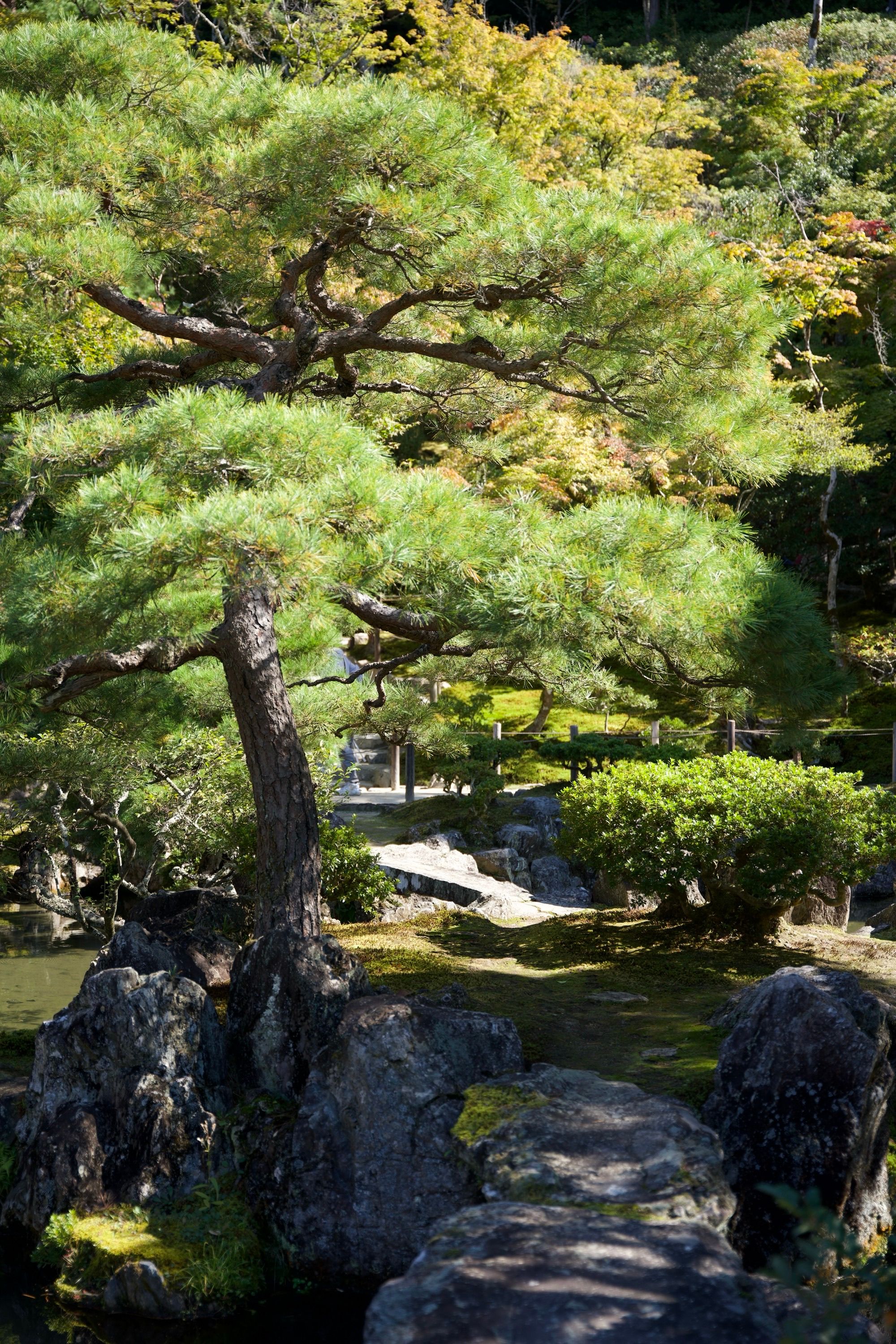 Îlot de jardin zen