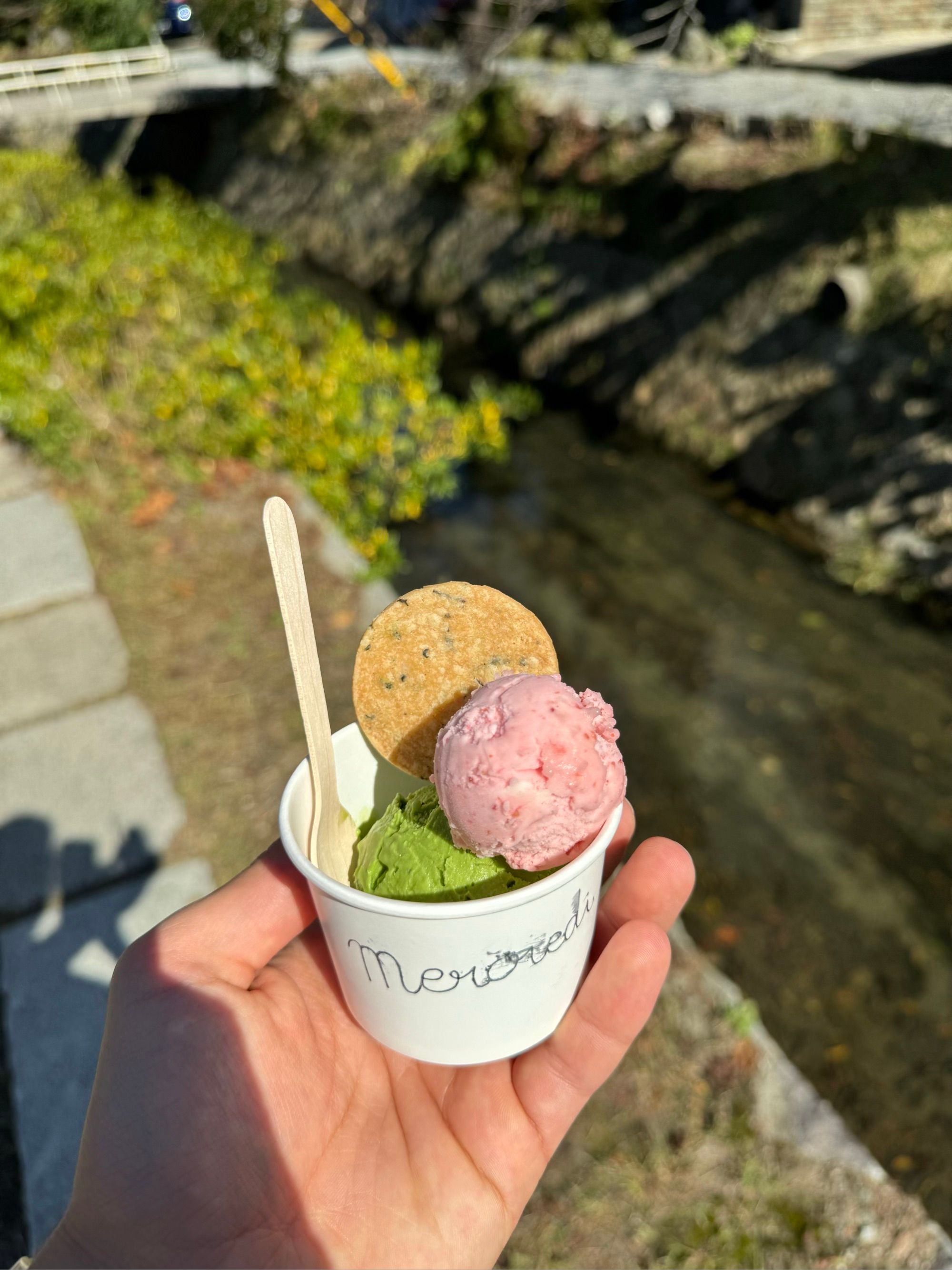 Glace au matcha et sorbet au sakura