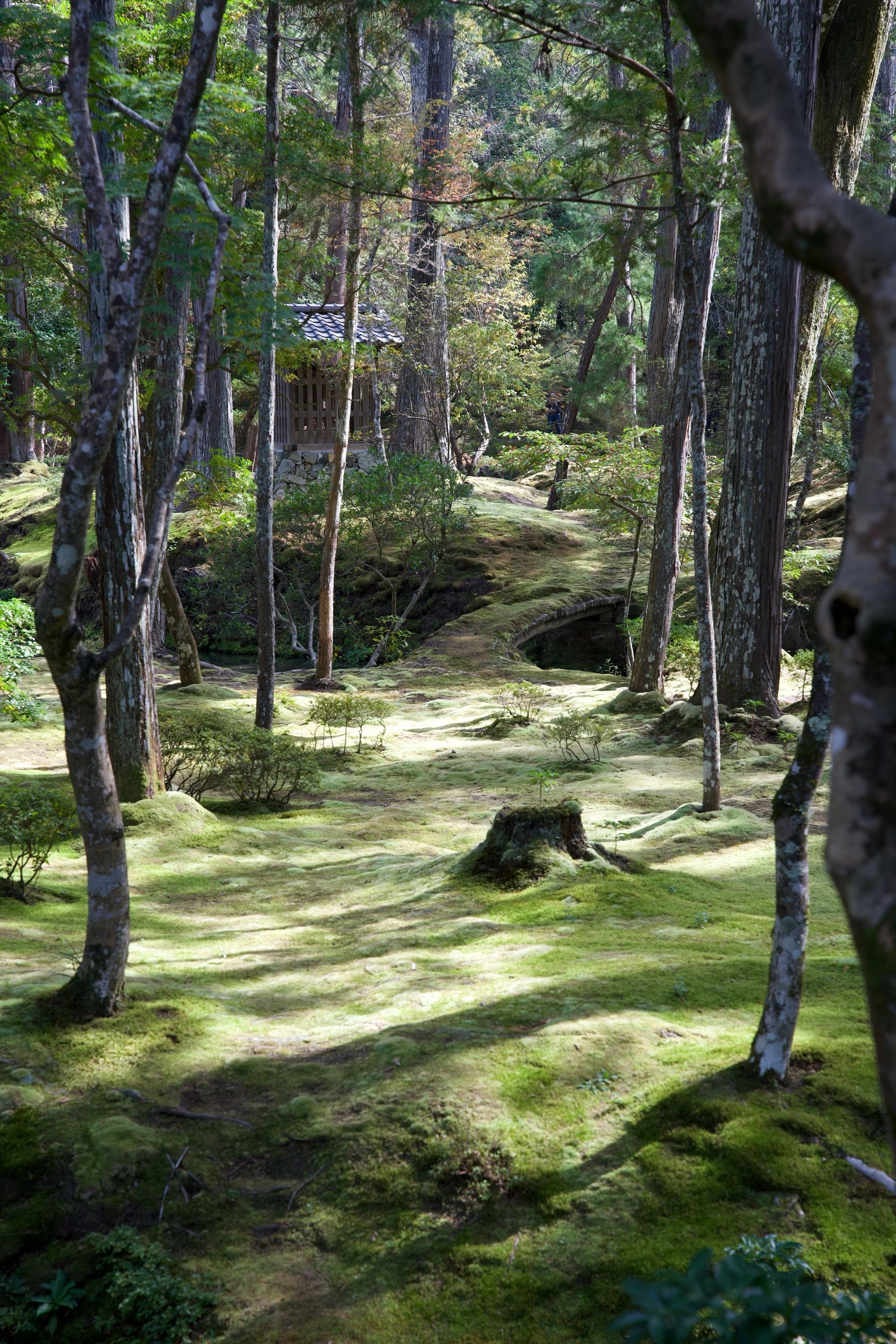 Chemin vers nulle part