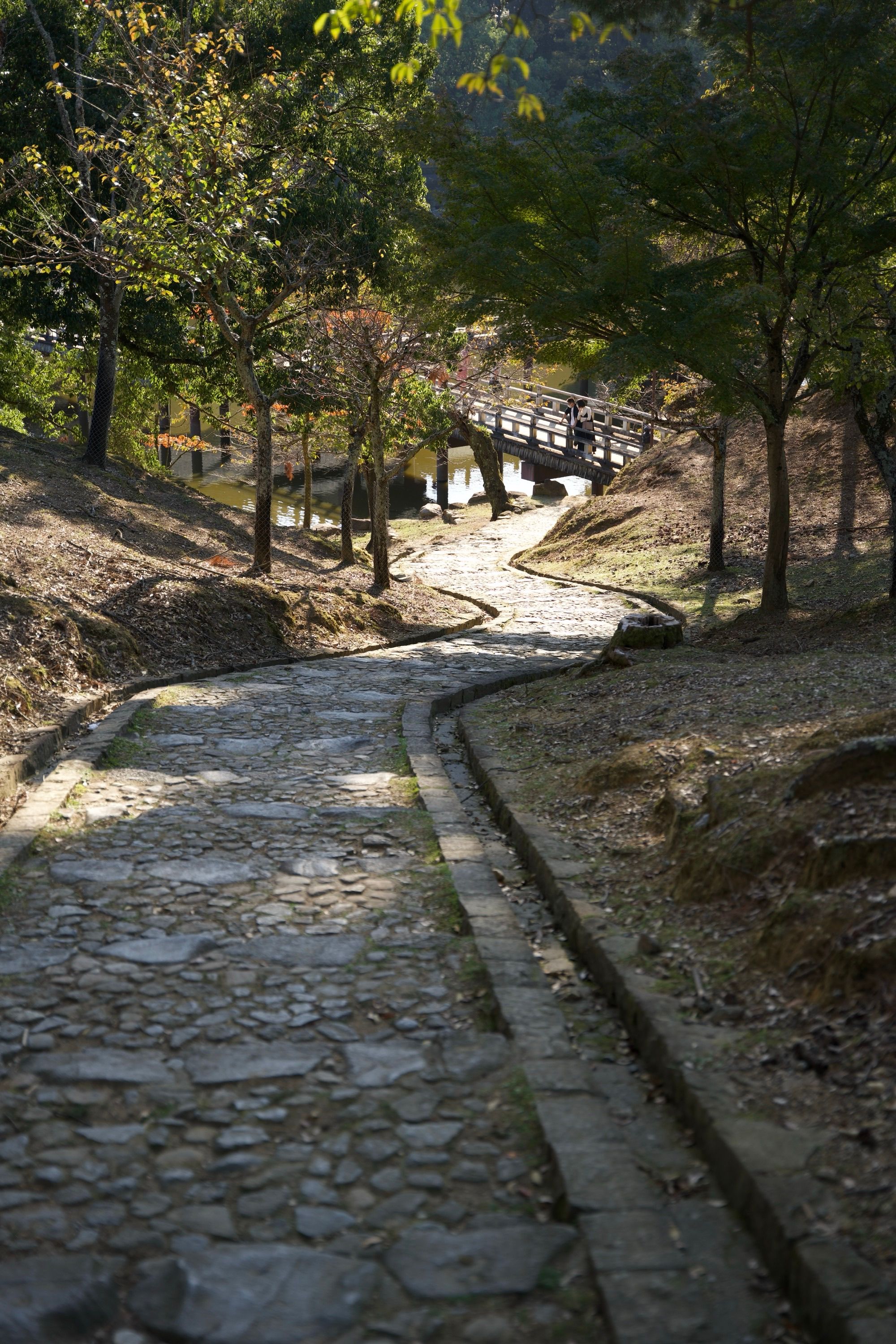 Chemin vers le lac du parc de Nara