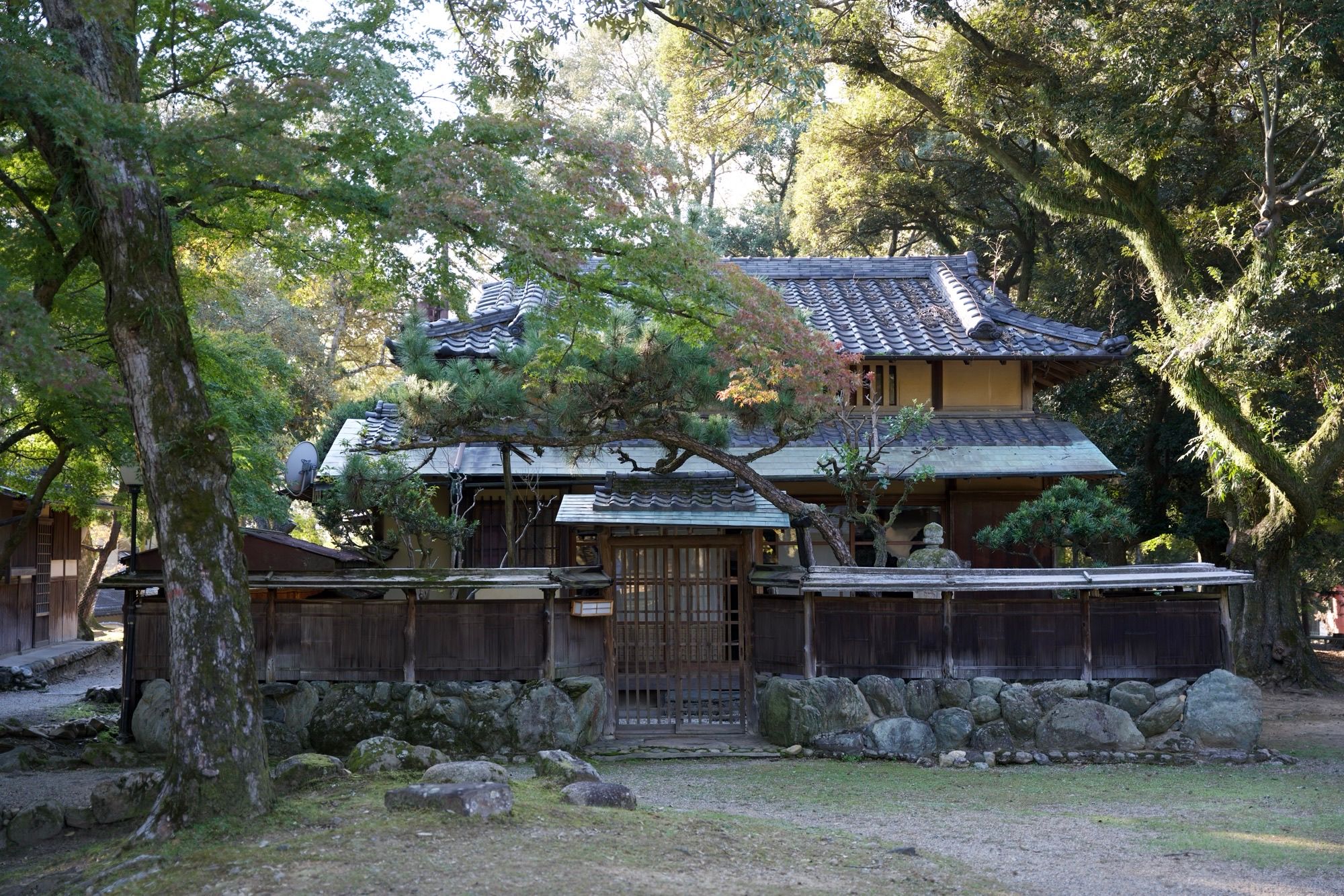 Maison en plein parc