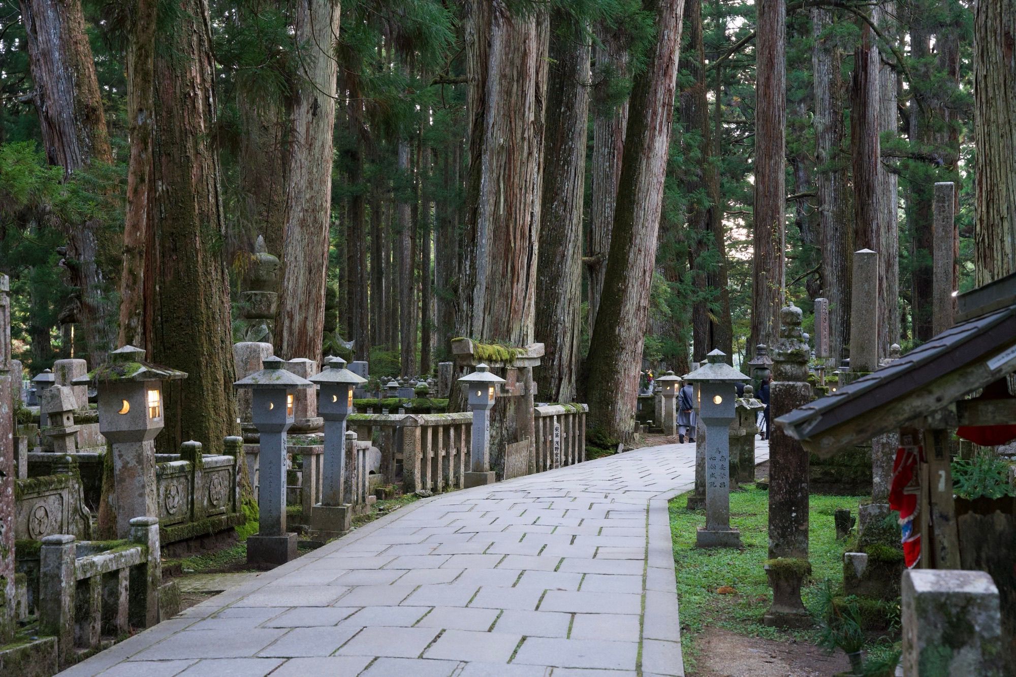 Cimetière au milieu de la forêt