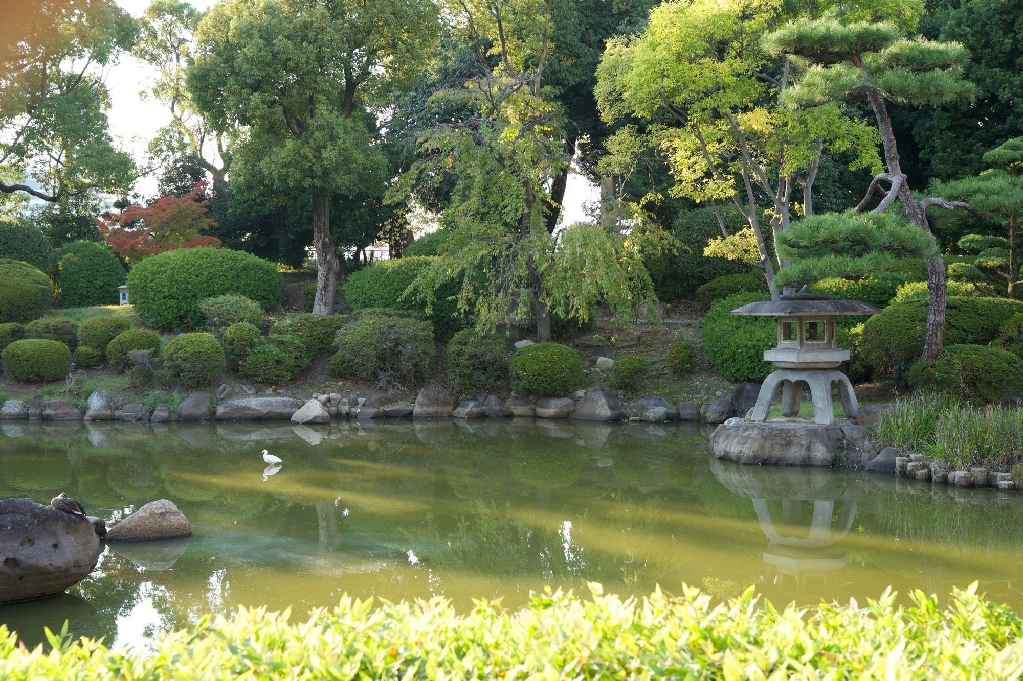 Bassin du jardin du château