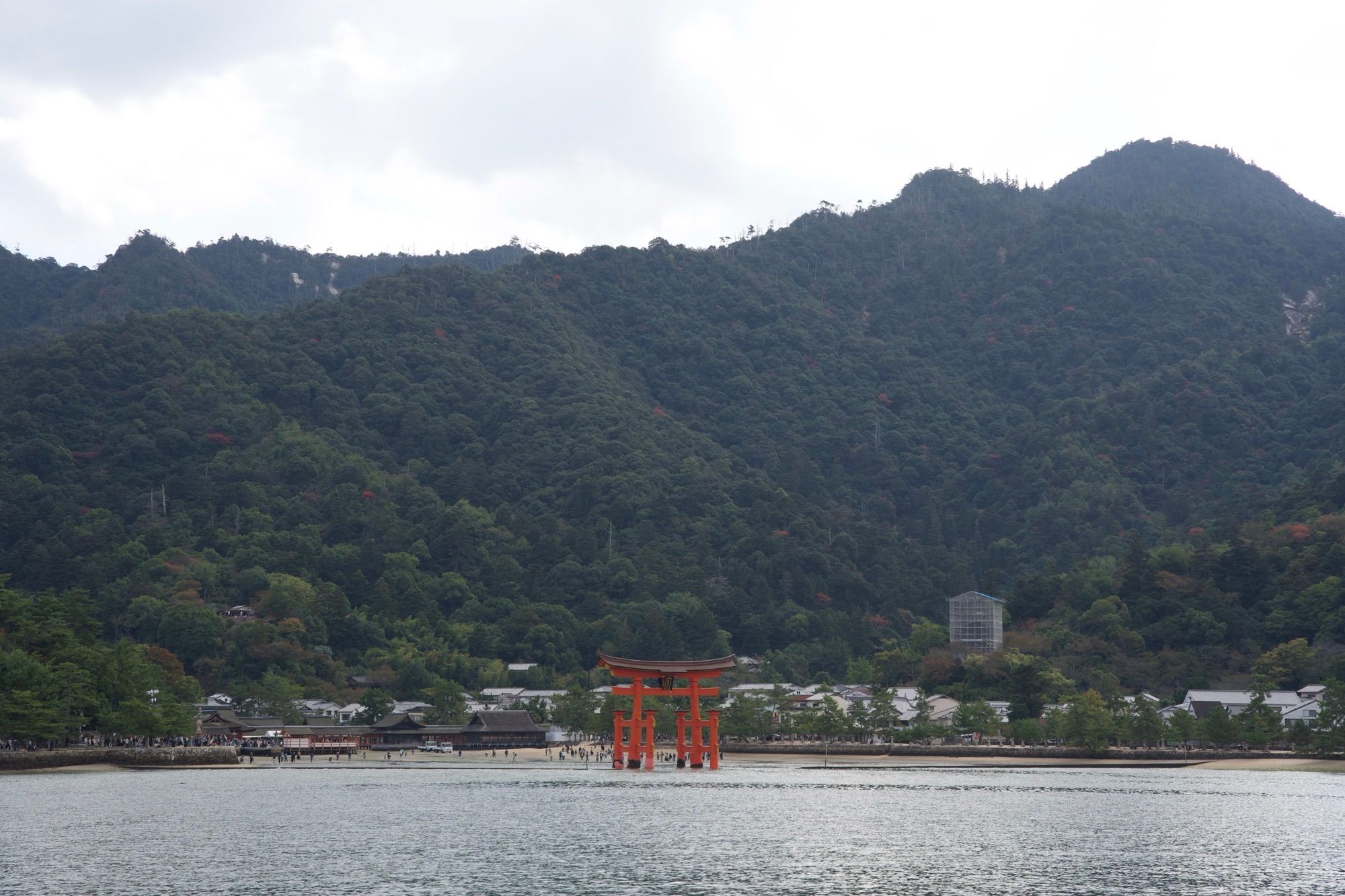 Arrivée sur Miyajima