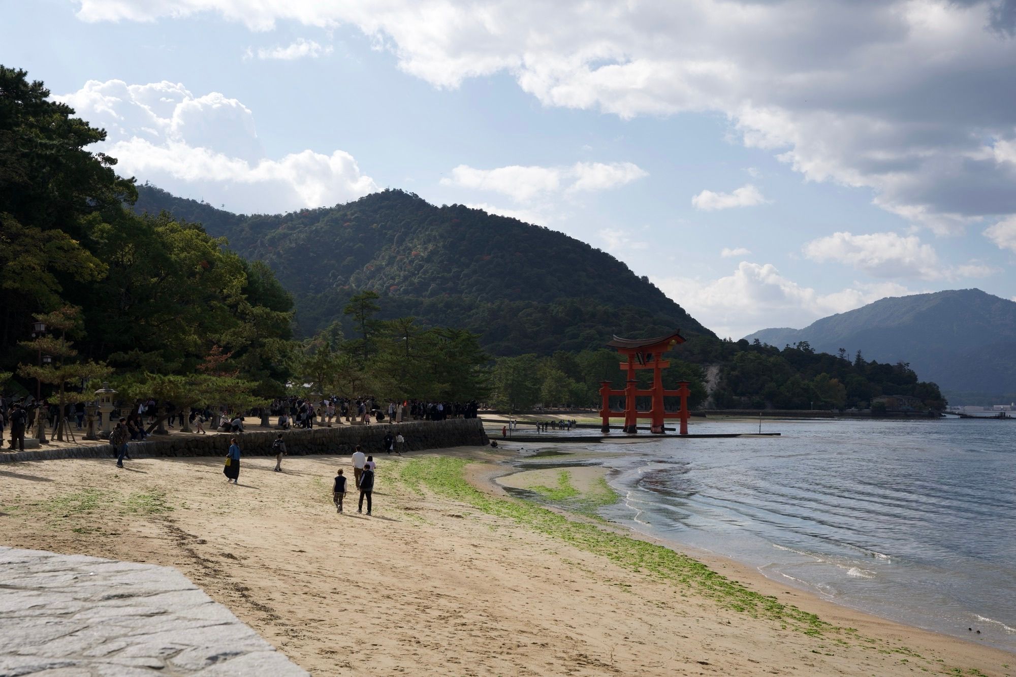 Marche vers le Itsukushima Jinja Torii