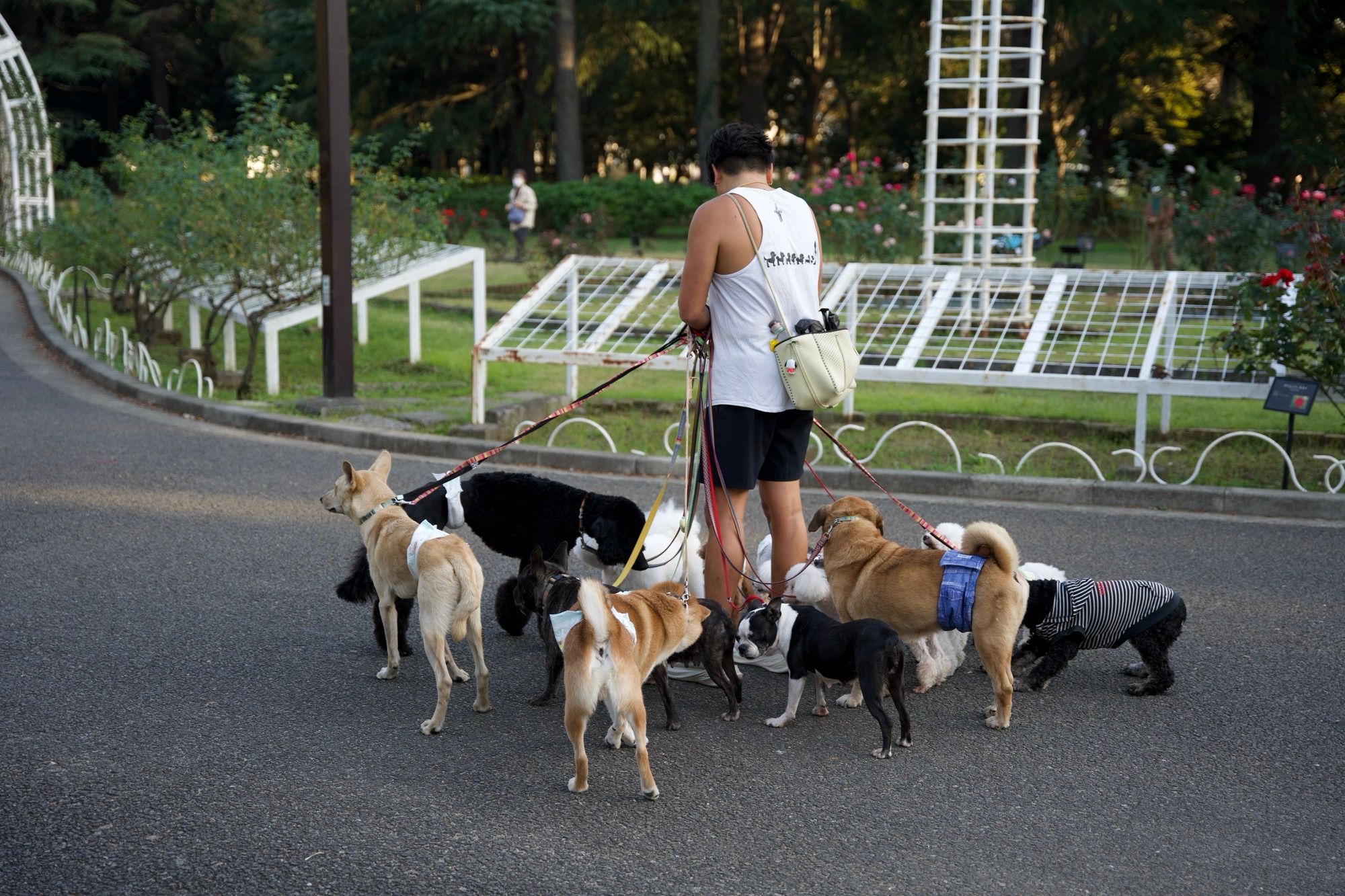 Grosse promenade