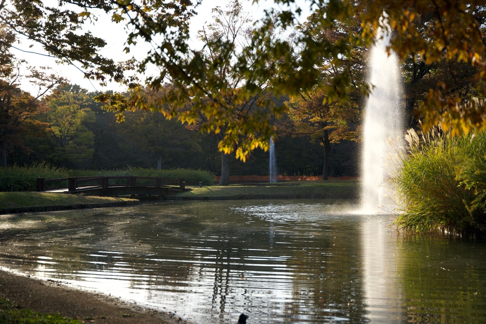 Fontaine du parc Yoyogi