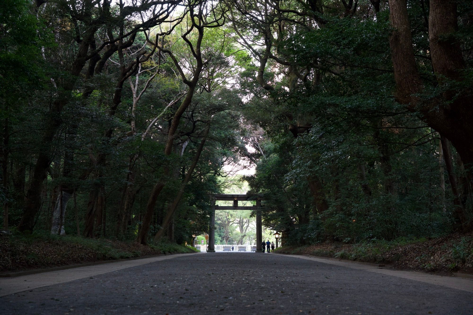 Torii en plein cœur de Tokyo