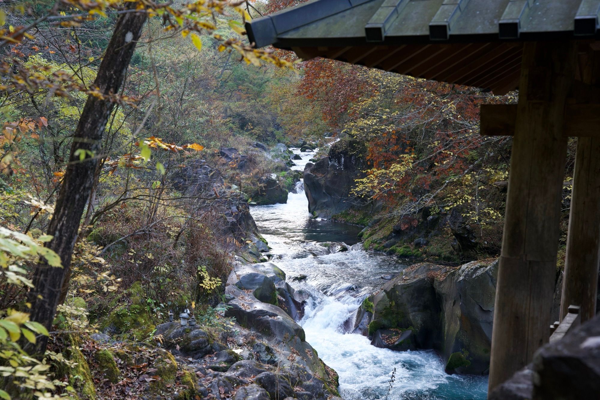 Rivière des abysses