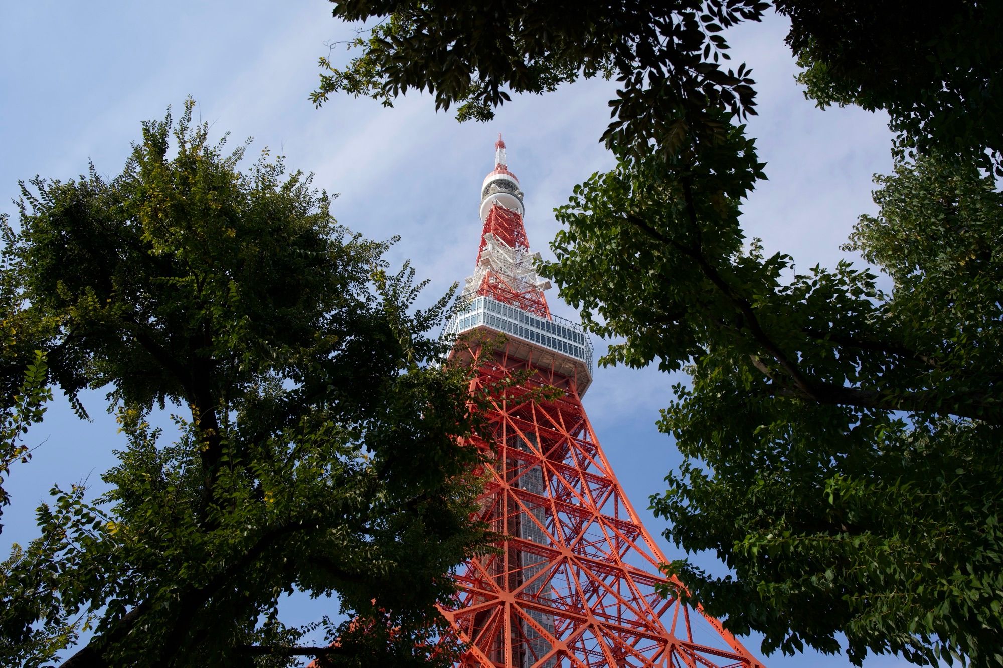 Tokyo Tower vue à travers des arbres